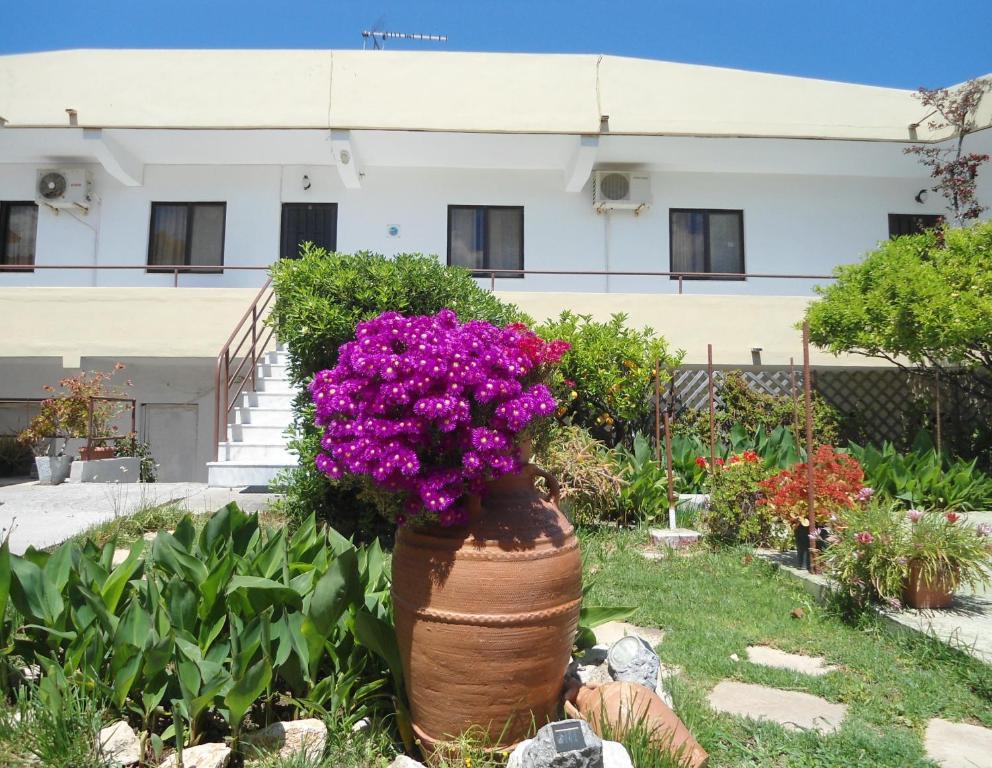 Evi Apartments And Studios Theológos Camera foto