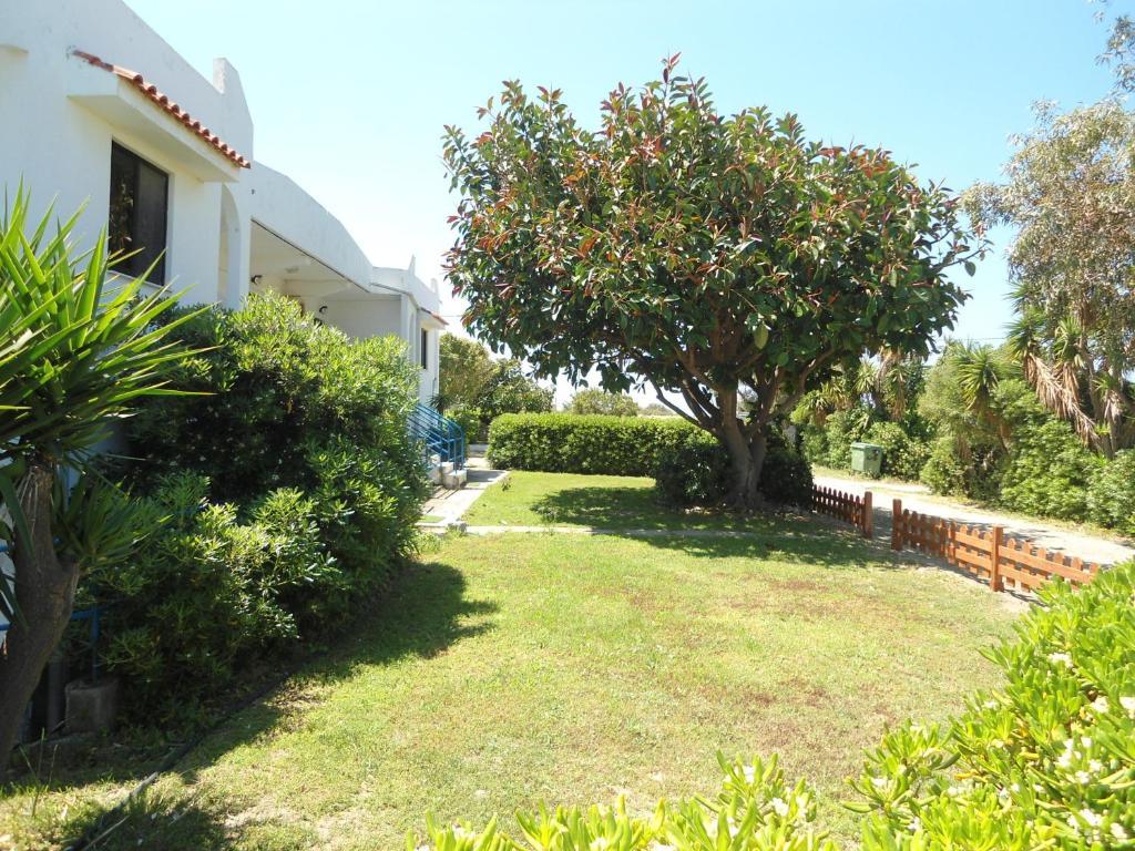 Evi Apartments And Studios Theológos Camera foto